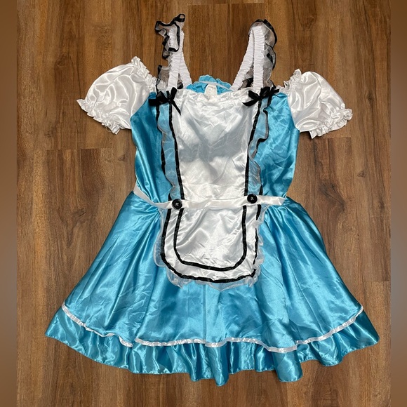 WONDERLAND Other - Alice In Wonderland Halloween Costume: comes w dress & petticoat Polyester Sz 1X